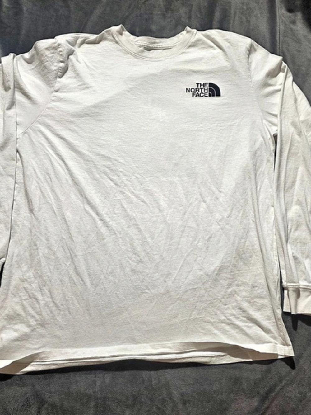 The North Face Evolution Simple Dome Regular Long-Sleeve T-Shirt Long-Sleeve